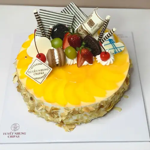 bánh mousse mẫu số (7)