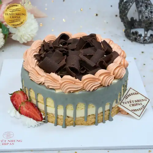 tiramisu mẫu số (8)